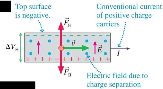 The Hall Effect If the charge carriers are positive, the magnetic force pushes these positive charges down, creating an excess positive charge on the