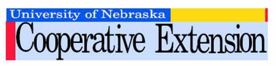 Association Nebraska GIS Steering Committee