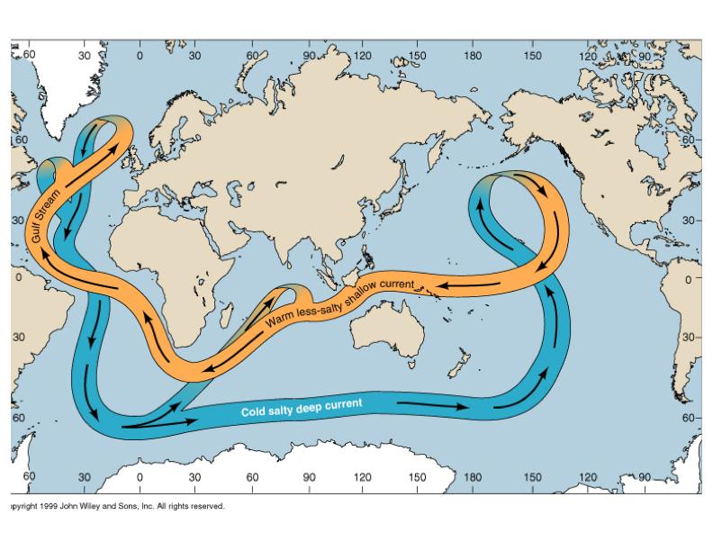 Thermohaline Circulation: The Global Conveyer Belt NADW moves south through the deep Atlantic into the Indian and Pacific