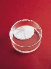 Sodium acetate crystals rapidly form when a seed crystal is added to a supersaturated solution of sodium acetate.