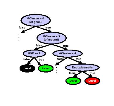 Probability model Decision tree for each of the expression levels.