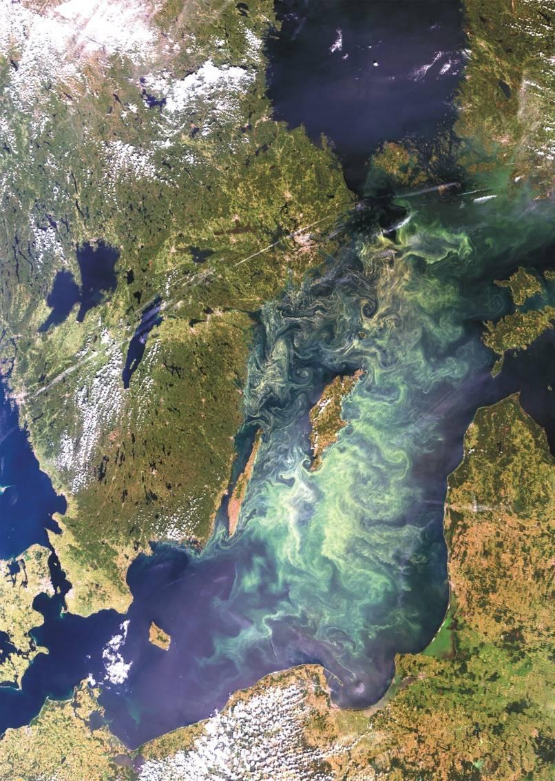 State of play for MSP in the Region Improving the severe environmental situation in the Baltic Sea Increasing and competing uses of the sea windmills