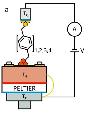 Büttiker s probe in molecular electronics: