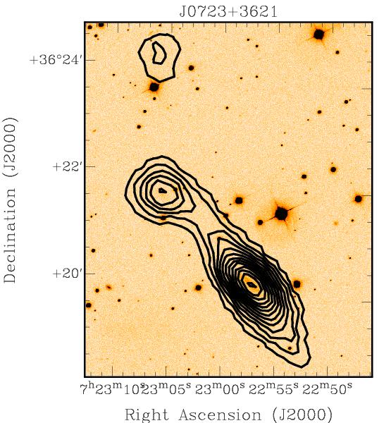 Extremely gas-rich triplet Merger remnant