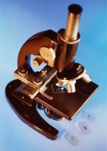 How to use a microscope 1. P L A C E S L I D E O N S T A G E 2. M O V E T O L O W P O W E R O B J E C T I V E 3.