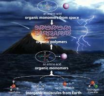 Organic Molecule Hypotheses a.