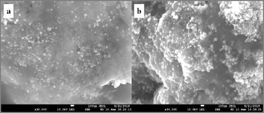 together. The nickel content of RGO/Ni-2 nanocomposite more than RGO/Ni-1 nanocomposite, it is also consistent with the results observed in the FESEM.