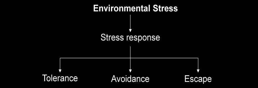 6 Cellular responses to stress include changes in the cell cycle and cell division, changes in the endomembrane system and vacuolization of cells, and changes in cell wall architecture, all leading