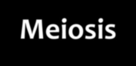 Meiosis vs. Mitosis Meiosis Occurs in two phases: Meiosis I Meiosis II Genetic information is shuffled around.