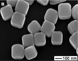 Nanostructures Noble Metal