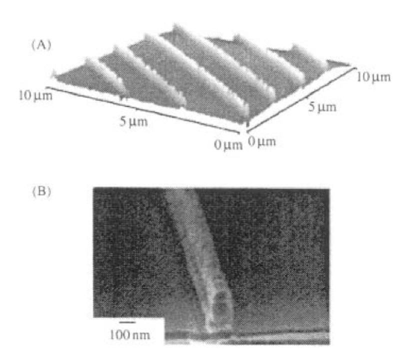 Parallel lines formed in photoresist using near field contact-mode photolithography have widths on the order of 100 nm and are -300 nm in