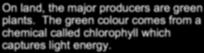 The green colour comes from a chemical called