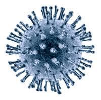 resources to make more viruses.