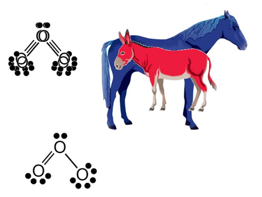 not this ( red donkey blue horse )