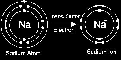 The nucleus is positively charged and has the protons and neutrons. Electrons are negatively charged and in discrete shells.