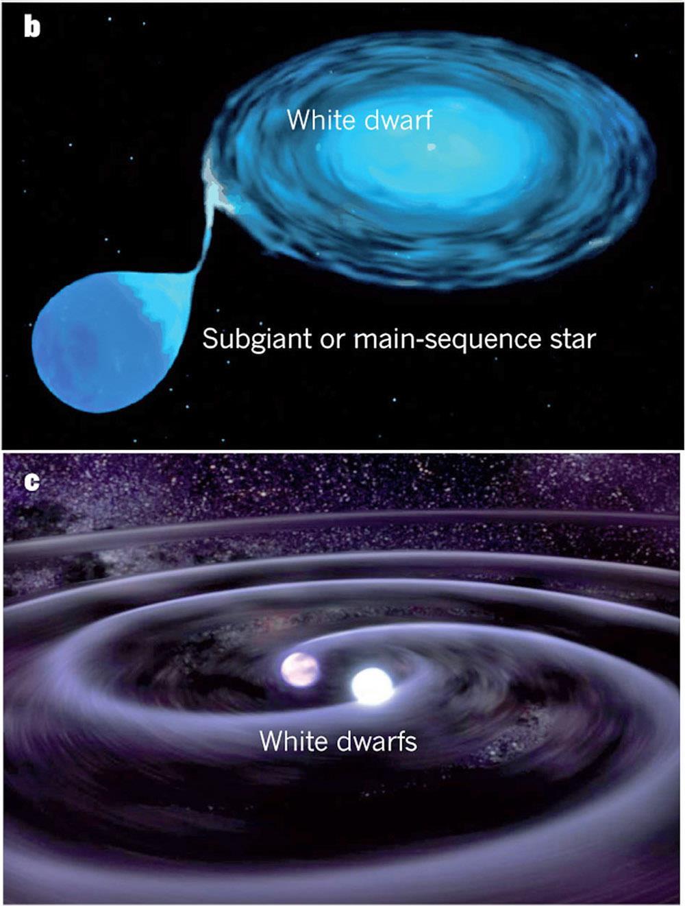 Progenitor system What is the white dwarf companion?