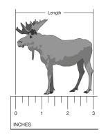 If the actual length of the moose is 15 ¾ feet, how many feet is represented by