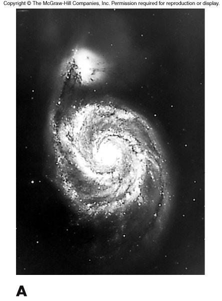 Stellar and Gas Content of Galaxies Spirals Star types: Mix of Pop I and Pop II Interstellar content: 15% by mass in disk Ellipticals Star types: Only Pop