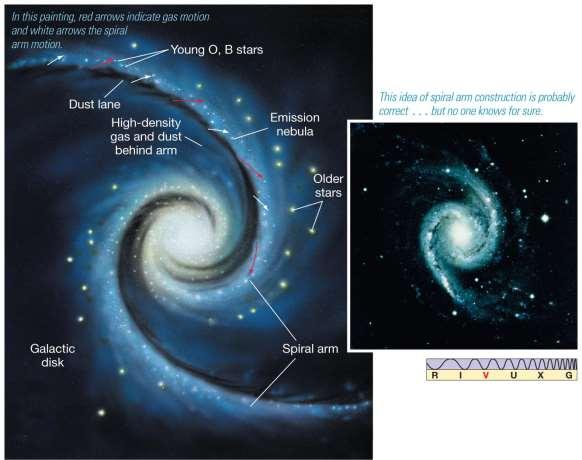 23.5 Galactic Spiral Arms Rather, they appear to be density waves, with