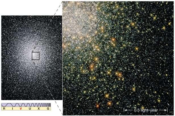 23.6 The Mass of the Milky Way Galaxy A Hubble search for red dwarfs turned up too