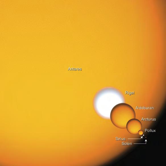 THE SUN AND OTHER STARS T. Abrahamsen/ARS T. Abrahamsen/ARS The Sun is a quite modest star. Other stars are up to 2000 times bigger. Others are 100 times smaller.