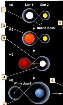 Binary Star Systems Interesting things happen in binary star systems larger star becomes a giant first Roche limit each star has an area in which any