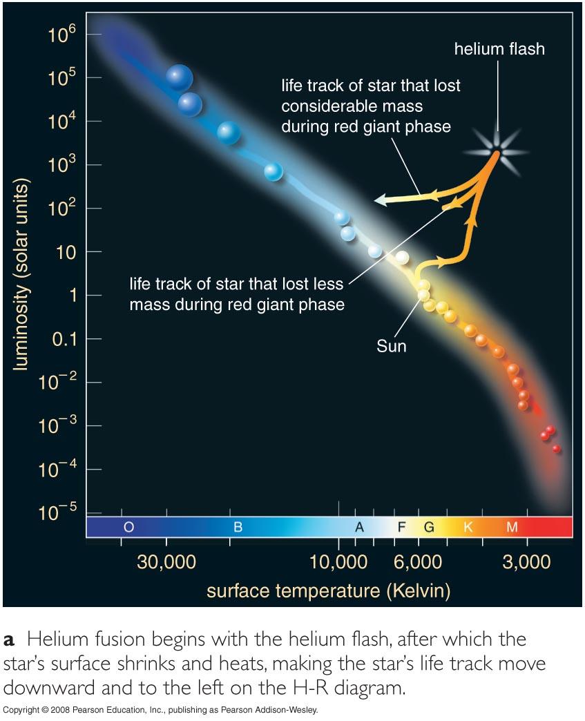 As core depletes hydrogen, fusion proceeds faster The End of a Red Giant luminosity rises core