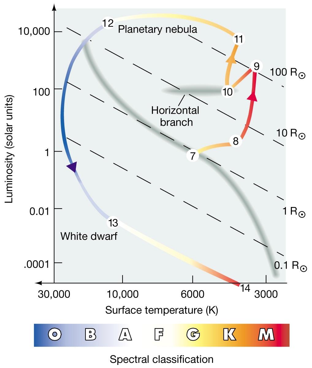 Life Track of a Sun-Like Star Helium burning stars form a horizontal