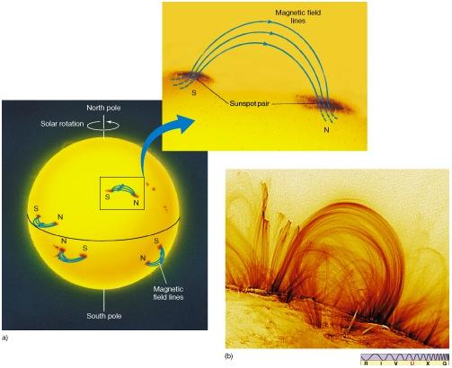 Magnetic field lines pierce the surface