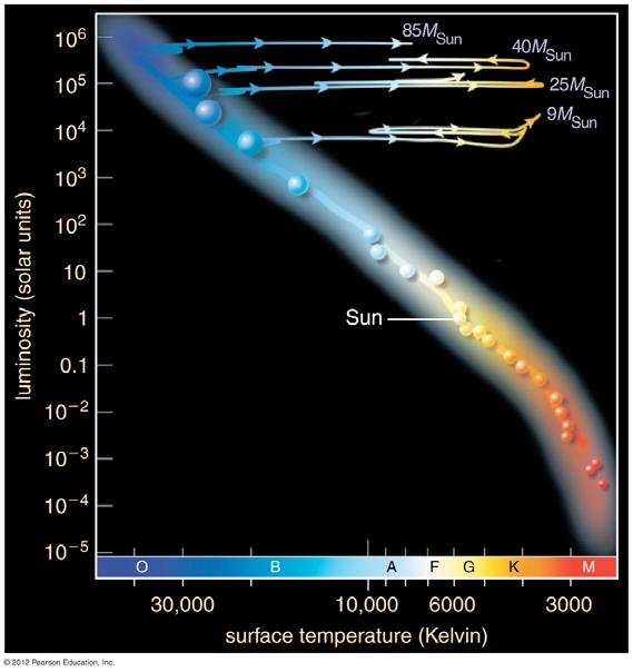Evolution of High-Mass Stars on the HR diagram After leaving the MS: Massive stars shine with ~constant luminosity Their