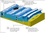 How Do Earthquakes Cause a Tsunami? Cause a tsunami by movement of the seafloor and by triggering a vertical displacement/ landslide M 7.