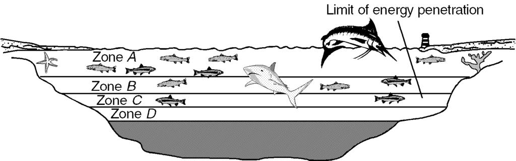 37) The diagram below represents a marine biome.