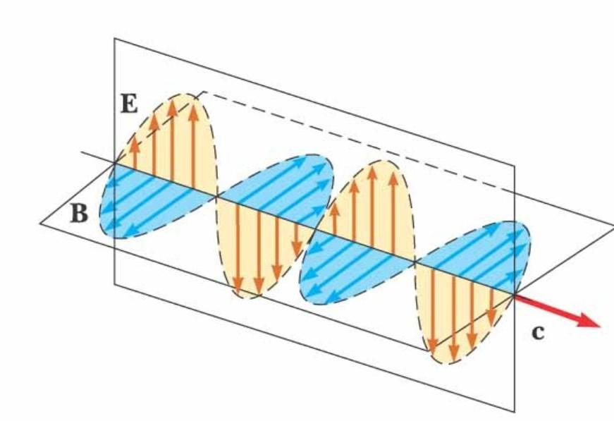 Electromagnetic Waves Chapter 34 Knowing general concepts: e.g. can EM waves travel in vacuum? Are lights EM waves? Identify wave speed and direction for a traveling wave function.