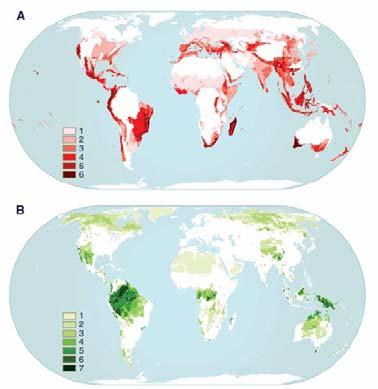 Global Conservation Priorities Questions: Irreplacibility estimates are species-based and vertebrate- and plant-biased.
