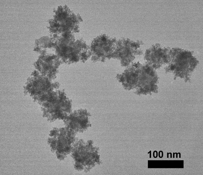 Figure S9. TEM image of the recycled Fe 3 O 4 @CQDs-6.0 hybrid NFs after 10 runs of catalytic photodegradation of MB and recycling. [S1] J. H.