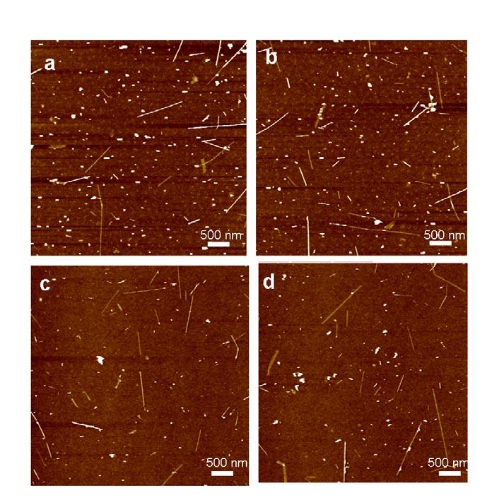 supplementary information Figure S9 AFM images of unzipped products after ultracentrifuging at different speed