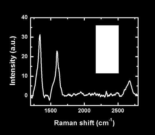 Except for a few publications from our group, there were no reported Raman data of individual bi-layer nanoribbons with widths of ~20 nm.