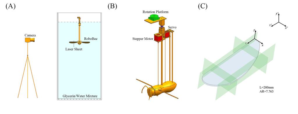 3 FIG. 1. Experimental set-up. (A) A robotic fly was immersed in a 1.2m by 1.2m by 2.2m tank filled with glycerin/water mixture (density=1.12 10 3 kgm 3 ; kinematic viscosity=115 cst).