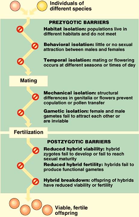 Methods of Speciation - 7 Post-Mating Reproductive Barriers There are a number of post-mating reproductive barriers that prevent development or successful survival of offspring and serve as isolating