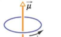 A CURRENT-CARRYING COIL AS A MAGNETIC DIPOLE For a loop, ϕ=2π, at the