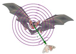 37. Picture the Problem: A bat, flying toward a stationary moth at 3.25 m/s, emits a sound at 34.0 khz, as shown in the figure. We wish to calculate the frequency heard by the moth.