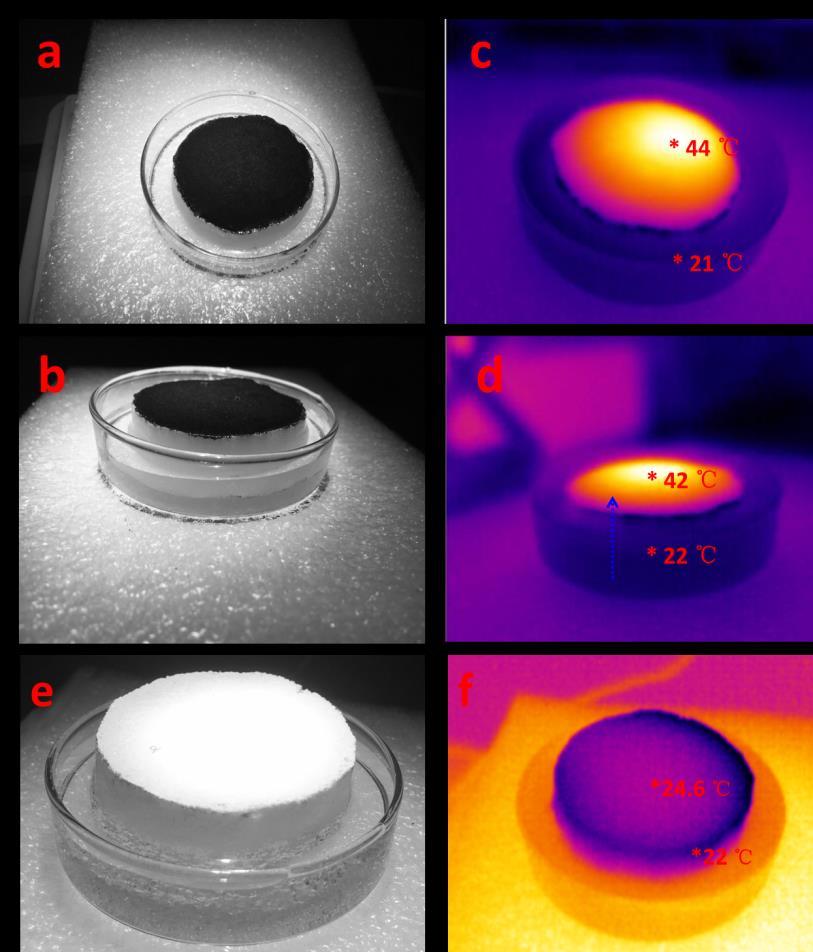Figure S6. (a,b) Photographs and (c,d) corresponding top-view and side-view IR images of bulk Fe 3 Si aerogel supported on melamine foam in solar-vapor desalination unit after 10 minutes of 1.