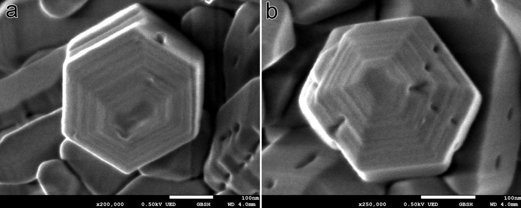 Supplementary Figure 2 SEM images of calcined HPM-1 chiral zeolite.