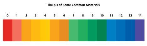 What is the ph of some common solutions?