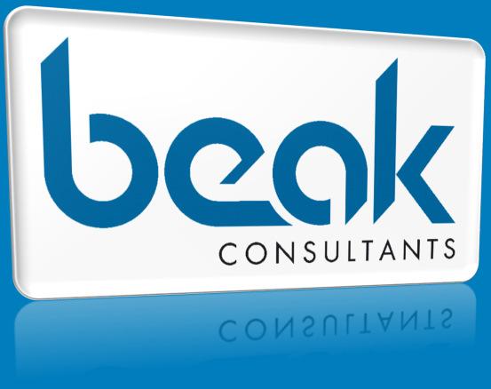 Beak Consultants GmbH Your Partner for Mineral