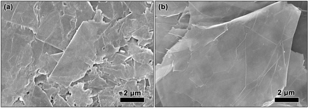 Fig. S1 SEM images of initial