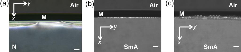 -11 K ~10 Nis the Frank constant of splay and λ ~1nm is the typical molecular scale of the SmA phase, the period of the layered structure.