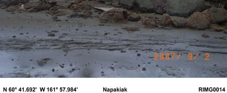 amount of fill to protect the tundra from permafrost thaw. The road and bridge are estimated to cost $63.6 million. A revetment could be constructed to protect Napakiak from the Kuskokwim River.