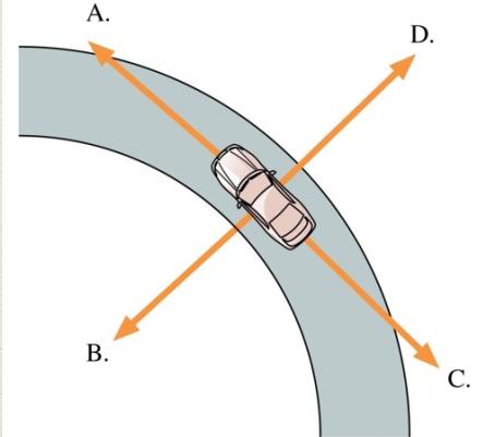 1 point maximum A) A car is traveling around a curve at a steady 4 m/s. Which vector shows the direction of the car s acceleration? Why? A. B. C. D. E. The acceleration is zero.