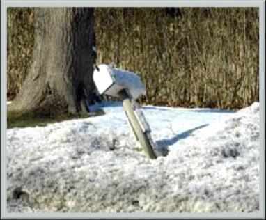 The City will consider claims for reimbursement of mailbox damage by a City snowplow. Claims must be submitted within 30 days of the damage. To download a claim form go to: www.warrenville.il.us and select Departments > Public Works > Street Division > Mailbox Replacement.